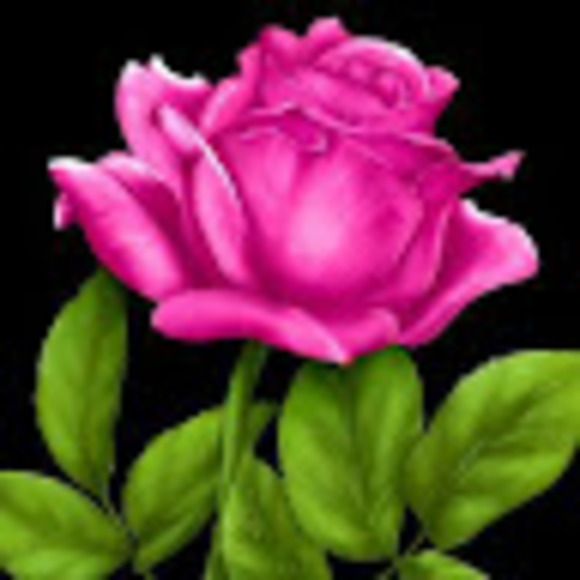 Meet your Posher, Grace - Picture 1 of 1